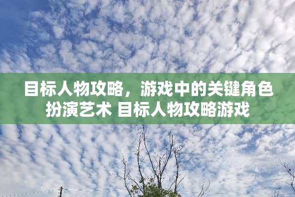 目标人物攻略，游戏中的关键角色扮演艺术 目标人物攻略游戏