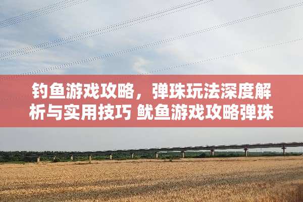 钓鱼游戏攻略，弹珠玩法深度解析与实用技巧 鱿鱼游戏攻略弹珠