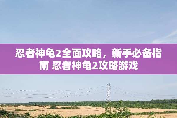 忍者神龟2全面攻略，新手必备指南 忍者神龟2攻略游戏
