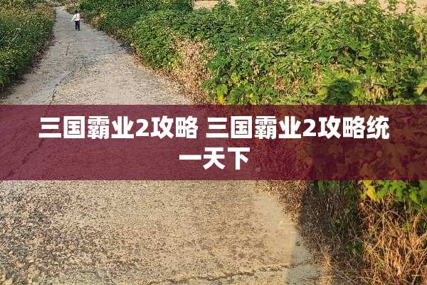 三国霸业2攻略 三国霸业2攻略统一天下