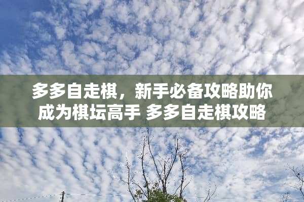 多多自走棋，新手必备攻略助你成为棋坛高手 多多自走棋攻略