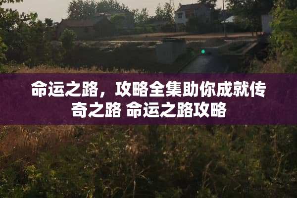 命运之路，攻略全集助你成就传奇之路 命运之路攻略