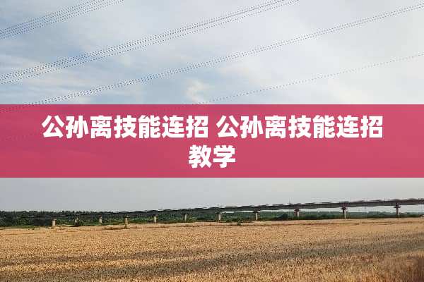 公孙离技能连招 公孙离技能连招教学