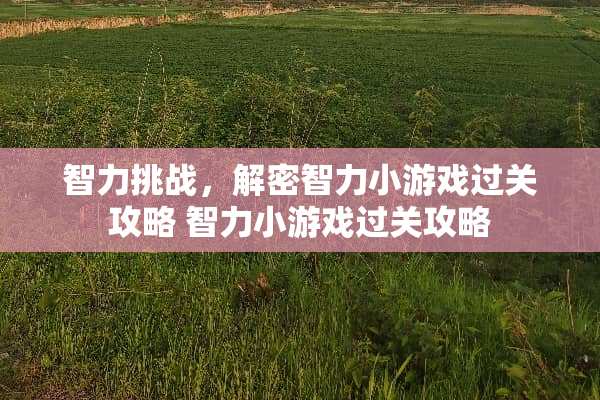 智力挑战，解密智力小游戏过关攻略 智力小游戏过关攻略