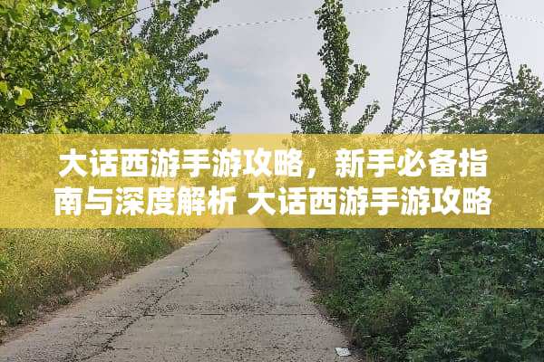 大话西游手游攻略，新手必备指南与深度解析 大话西游手游攻略