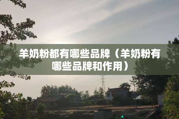 羊奶粉都有哪些品牌（羊奶粉有哪些品牌和作用）