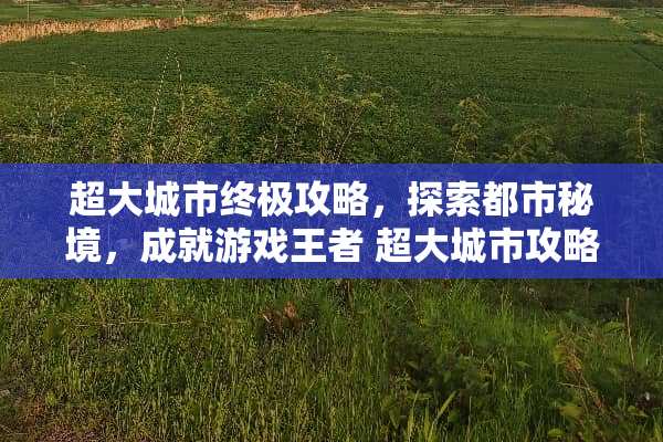 超大城市终极攻略，探索都市秘境，成就游戏王者 超大城市攻略