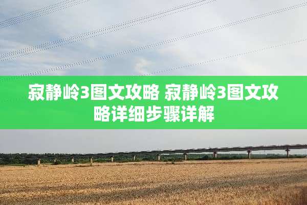 寂静岭3图文攻略 寂静岭3图文攻略详细步骤详解