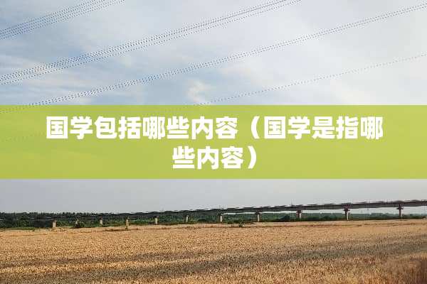 国学包括哪些内容（国学是指哪些内容）