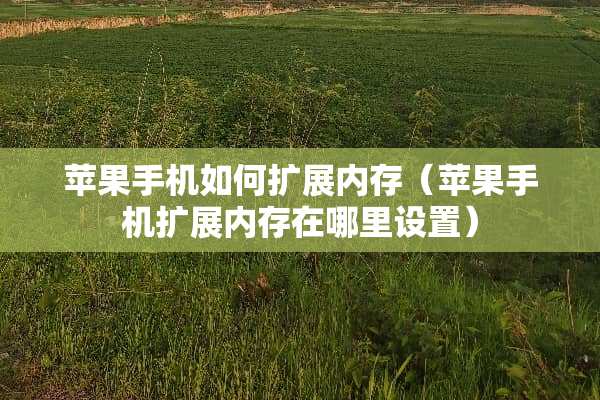 苹果手机如何扩展内存（苹果手机扩展内存在哪里设置）