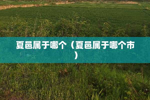 夏邑属于哪个（夏邑属于哪个市）