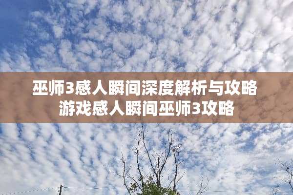 巫师3感人瞬间深度解析与攻略 游戏感人瞬间巫师3攻略