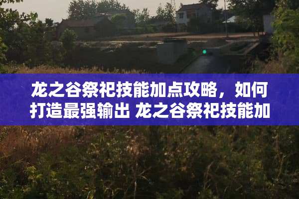 龙之谷祭祀技能加点攻略，如何打造最强输出 龙之谷祭祀技能加点