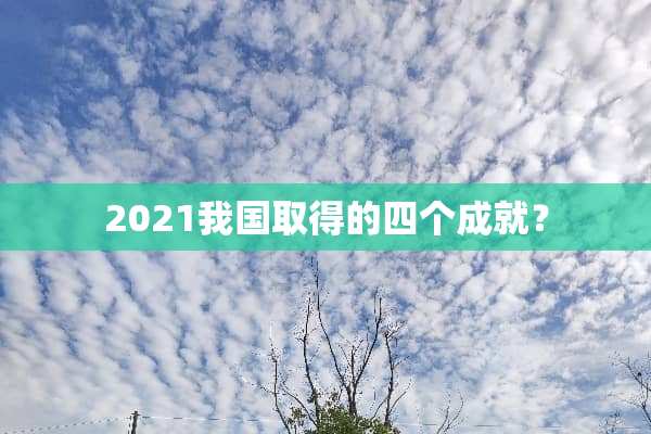 2021我国取得的四个成就？