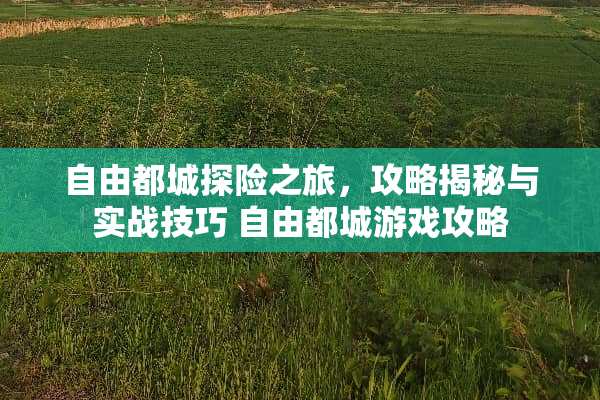 自由都城探险之旅，攻略揭秘与实战技巧 自由都城游戏攻略