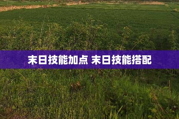 末日技能加点 末日技能搭配