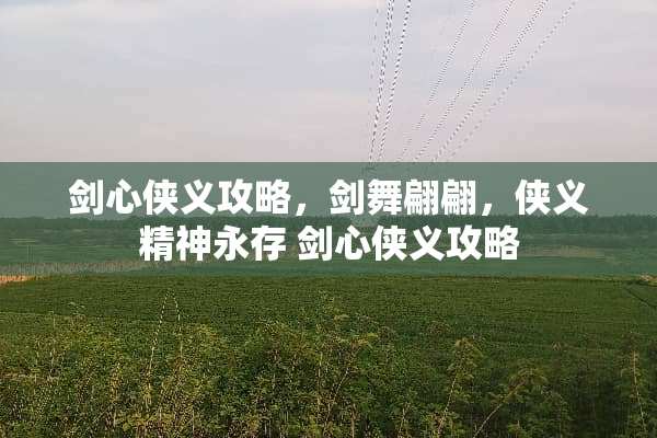剑心侠义攻略，剑舞翩翩，侠义精神永存 剑心侠义攻略