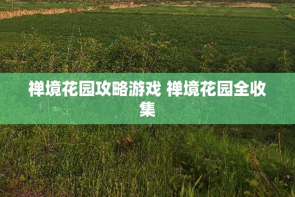 禅境花园攻略游戏 禅境花园全收集