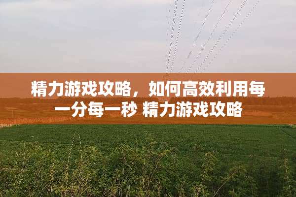 精力游戏攻略，如何高效利用每一分每一秒 精力游戏攻略