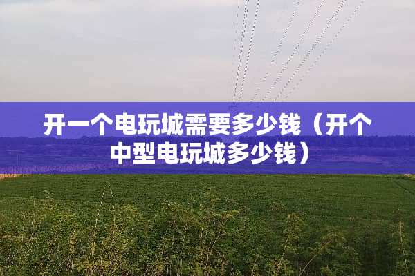 开一个电玩城需要多少钱（开个中型电玩城多少钱）