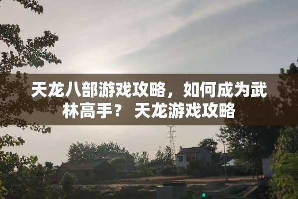 天龙八部游戏攻略，如何成为武林高手？ 天龙游戏攻略