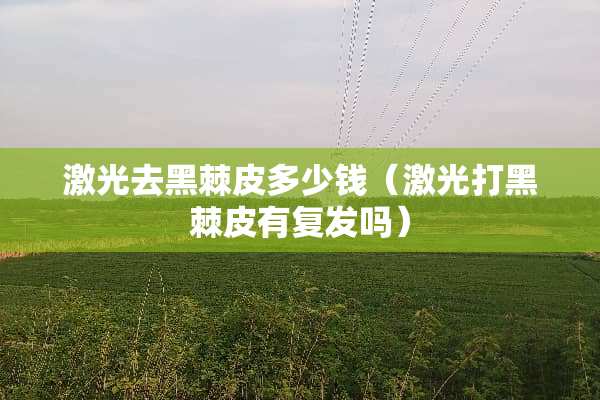 激光去黑棘皮多少钱（激光打黑棘皮有复发吗）