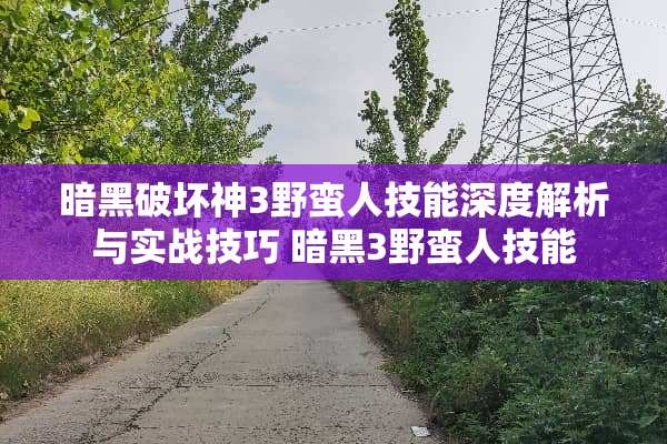 暗黑破坏神3野蛮人技能深度解析与实战技巧 暗黑3野蛮人技能