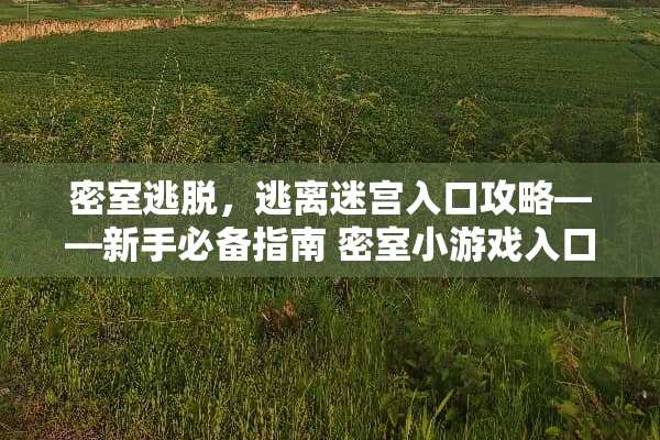 密室逃脱，逃离迷宫入口攻略——新手必备指南 密室小游戏入口攻略