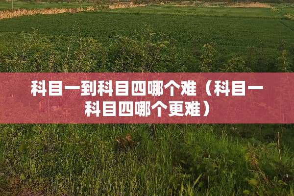 科目一到科目四哪个难（科目一科目四哪个更难）
