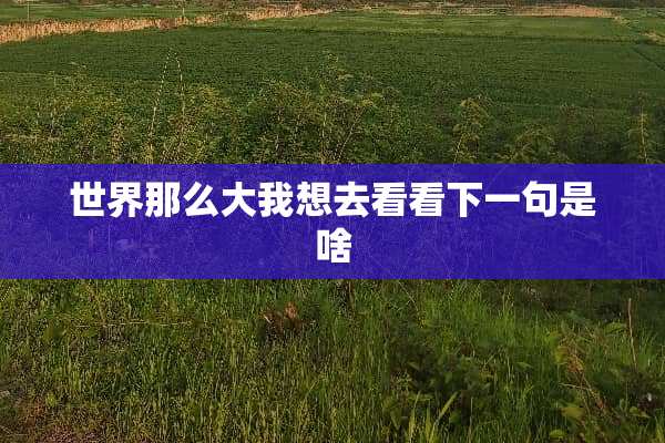 世界那么大我想去看看下一句是啥
