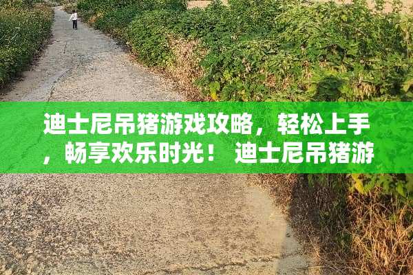 迪士尼吊猪游戏攻略，轻松上手，畅享欢乐时光！ 迪士尼吊猪游戏攻略