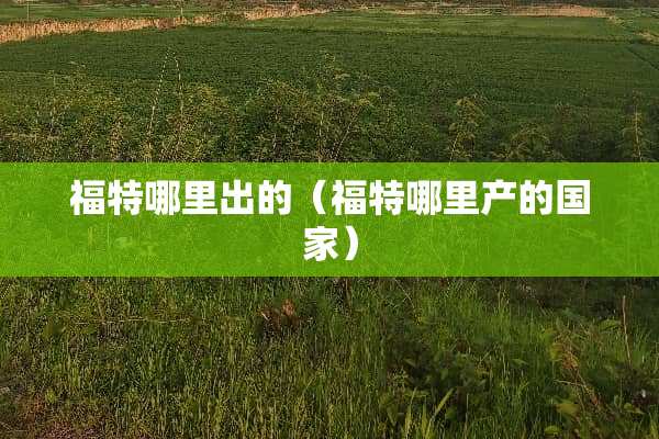 福特哪里出的（福特哪里产的国家）
