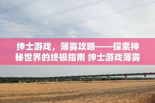 绅士游戏，薄雾攻略——探索神秘世界的终极指南 绅士游戏薄雾攻略