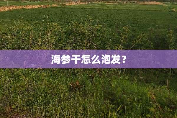 海参干怎么泡发？