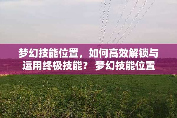 梦幻技能位置，如何高效解锁与运用终极技能？ 梦幻技能位置