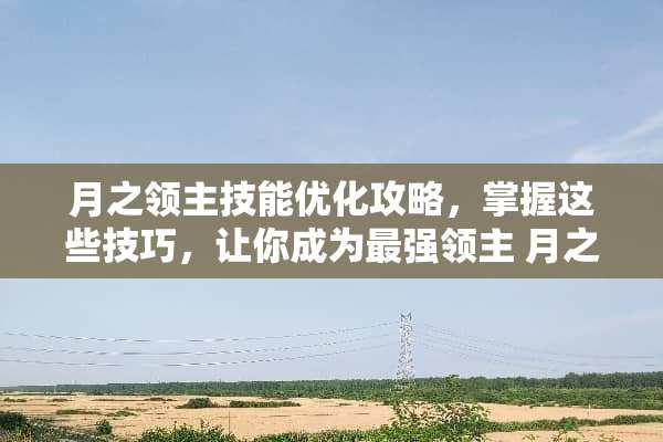 月之领主技能优化攻略，掌握这些技巧，让你成为最强领主 月之领主技能