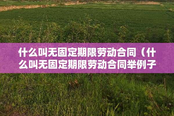 什么叫无固定期限劳动合同（什么叫无固定期限劳动合同举例子）