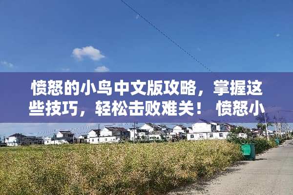 愤怒的小鸟中文版攻略，掌握这些技巧，轻松击败难关！ 愤怒小鸟中文版攻略