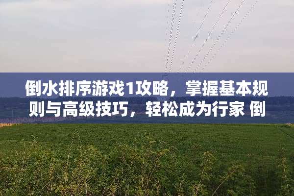 倒水排序游戏1攻略，掌握基本规则与高级技巧，轻松成为行家 倒水排序游戏1攻略