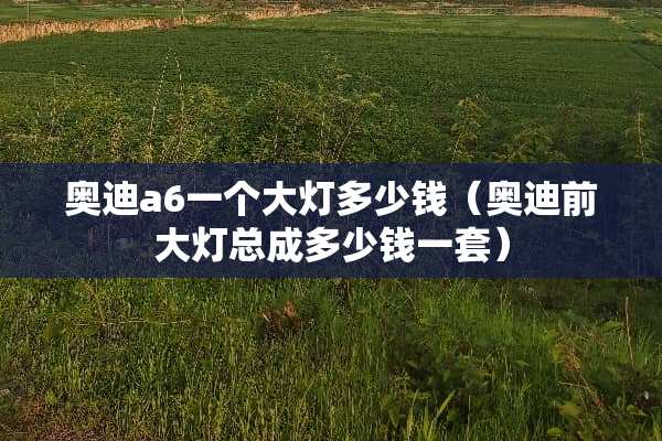 奥迪a6一个大灯多少钱（奥迪前大灯总成多少钱一套）