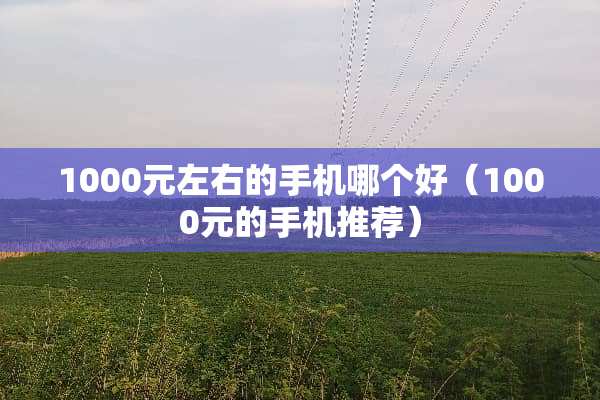 1000元左右的手机哪个好（1000元的手机推荐）