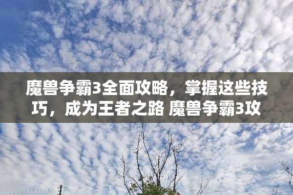 魔兽争霸3全面攻略，掌握这些技巧，成为王者之路 魔兽争霸3攻略游戏