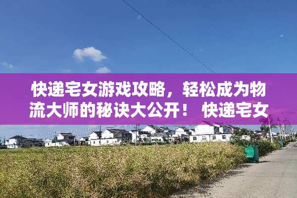 快递宅女游戏攻略，轻松成为物流大师的秘诀大公开！ 快递宅女游戏攻略中文