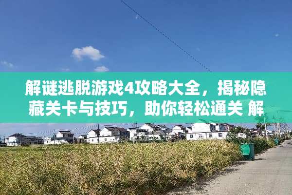 解谜逃脱游戏4攻略大全，揭秘隐藏关卡与技巧，助你轻松通关 解谜逃脱游戏4攻略大全
