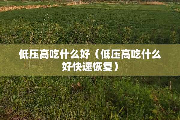 低压高吃什么好（低压高吃什么好快速恢复）