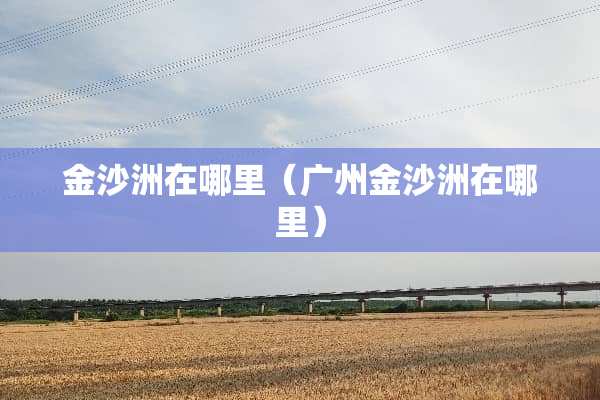金沙洲在哪里（广州金沙洲在哪里）