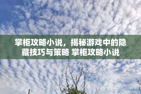 掌柜攻略小说，揭秘游戏中的隐藏技巧与策略 掌柜攻略小说