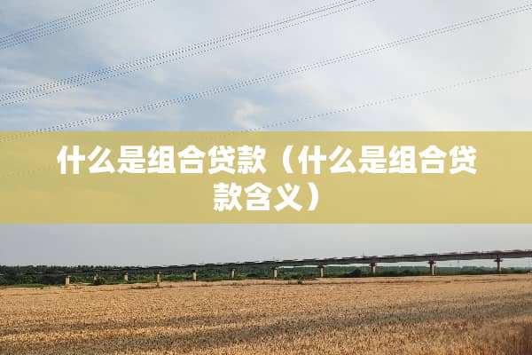 什么是组合贷款（什么是组合贷款含义）