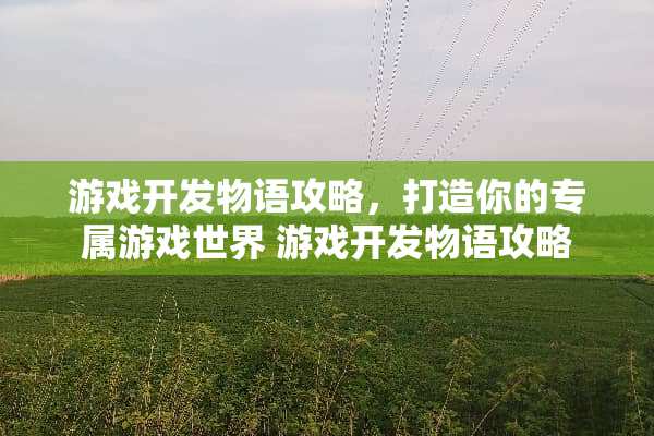 游戏开发物语攻略，打造你的专属游戏世界 游戏开发物语攻略