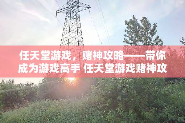 任天堂游戏，赌神攻略——带你成为游戏高手 任天堂游戏赌神攻略